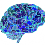 brain-blog